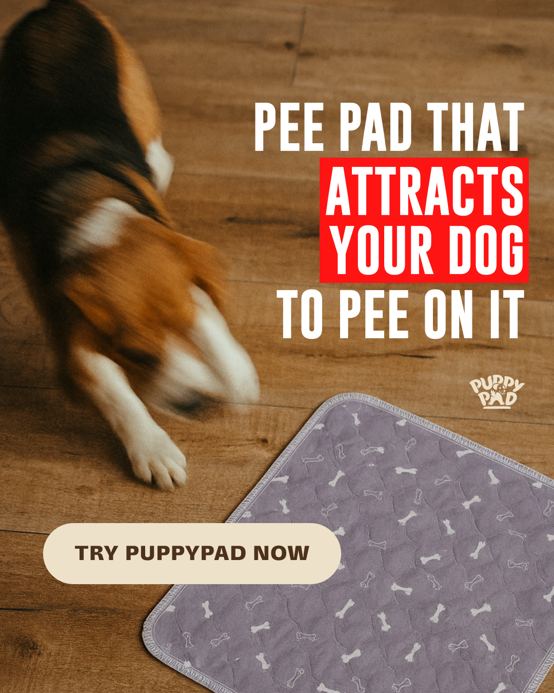 PuppyPad Facebook ad