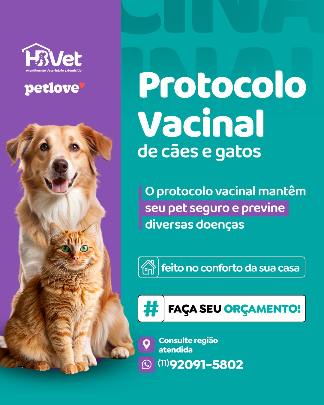 HB Vet - Atendimento Veterinário a domicílio Facebook ad: Converse conosco