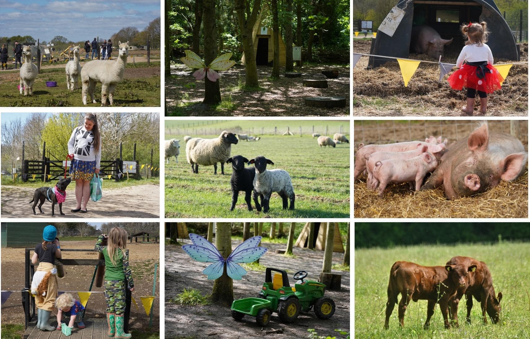 Church Farm, Ardeley Facebook ad