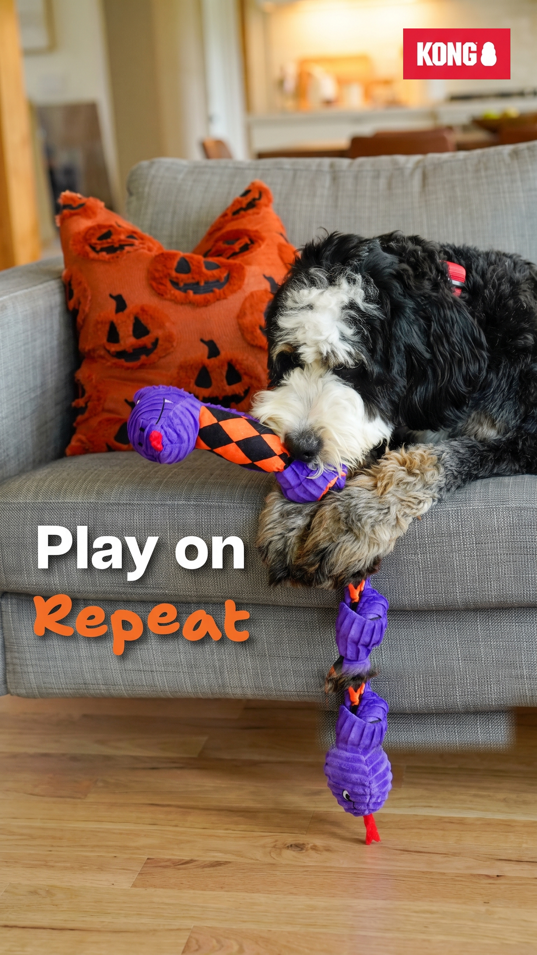 KONG Facebook ad: Tug. Snuggle. Repeat.