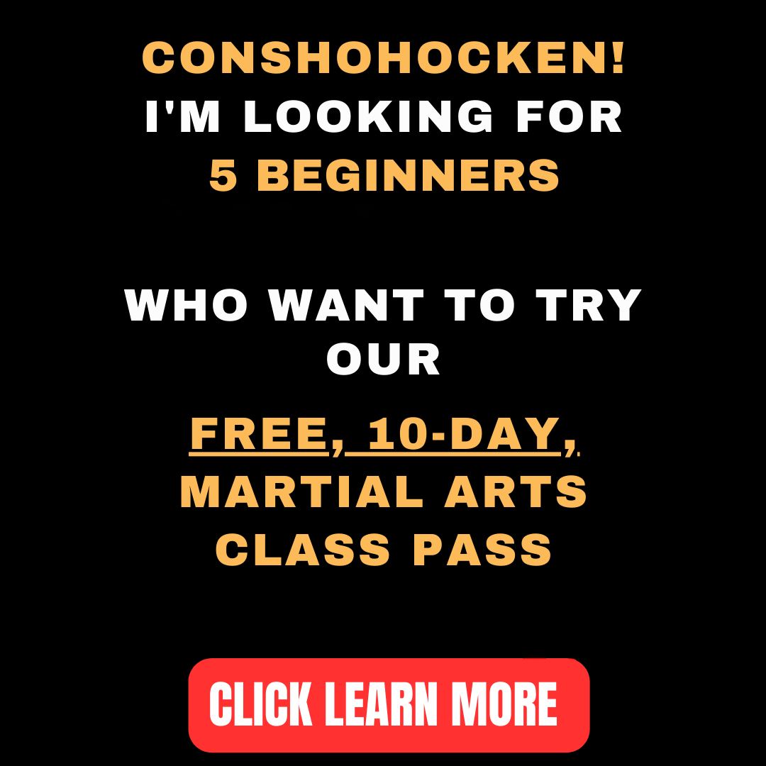 Lightning Hands Wing Chun Facebook ad: Want a FREE 10-Day, Martial Arts Class Pass?
