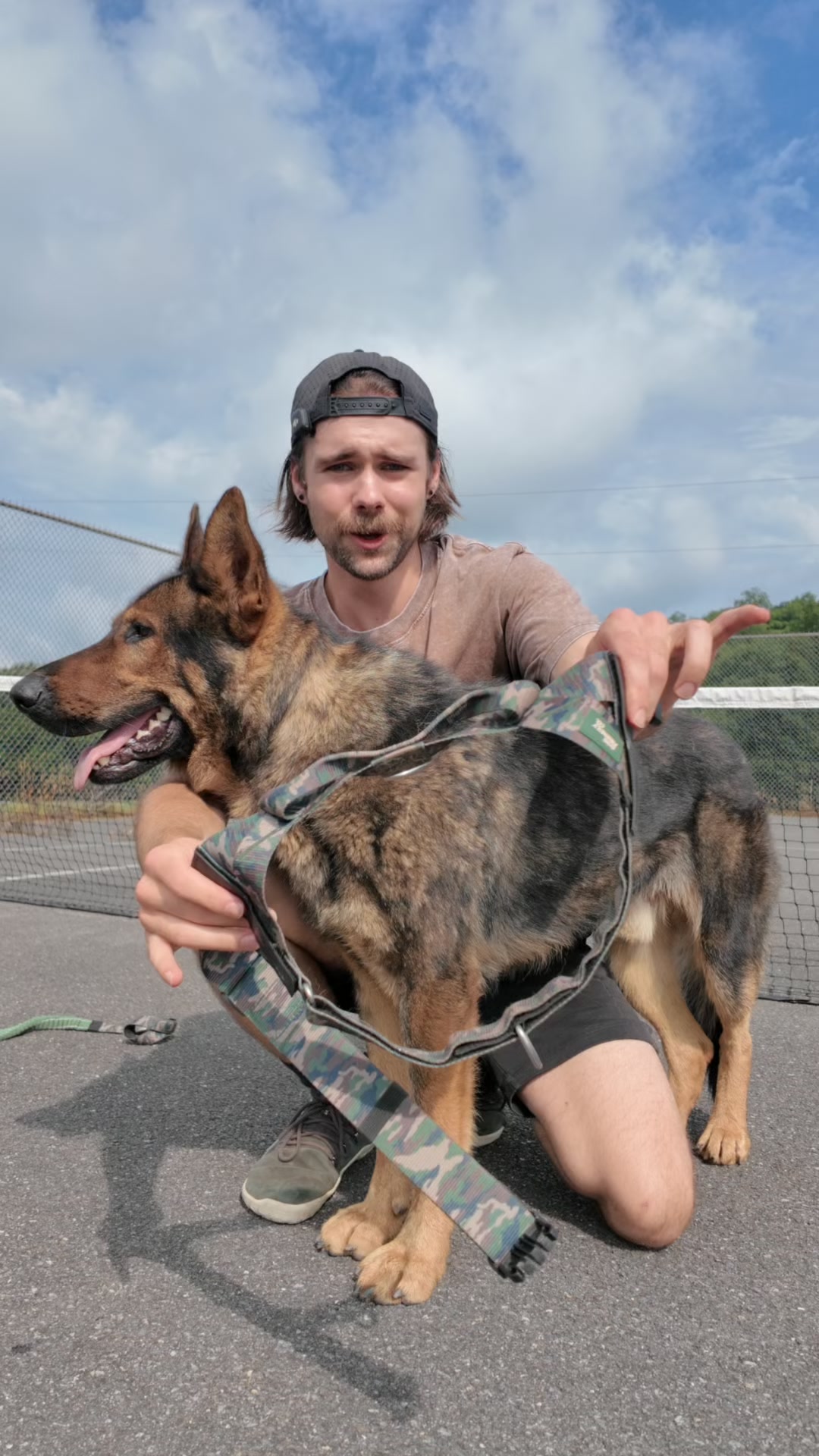 Dog Friendly Co. Facebook ad: Rated #1 By Dog Owners