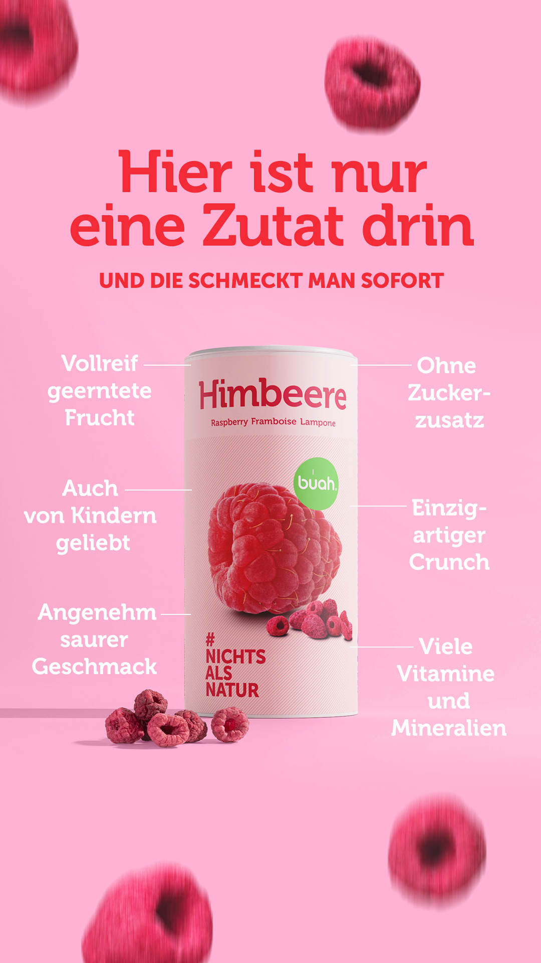 Buah fruits Facebook ad
