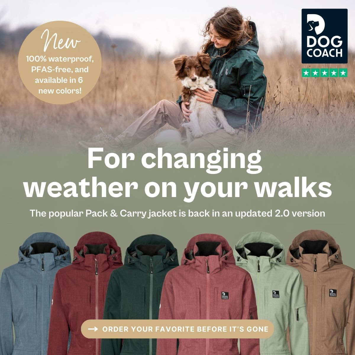 DogCoach Facebook ad