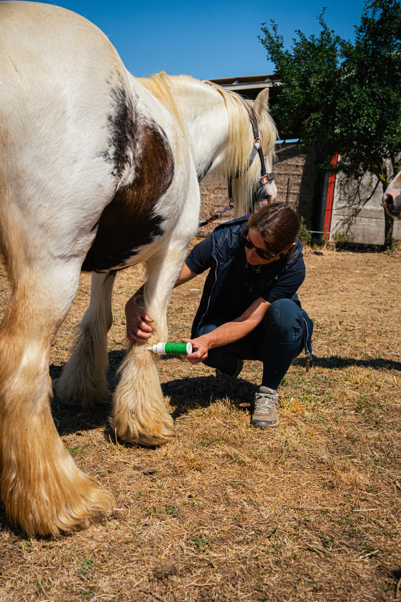 Cura naturale Facebook ad: Huile répulsive cheval - Note 4,9/5