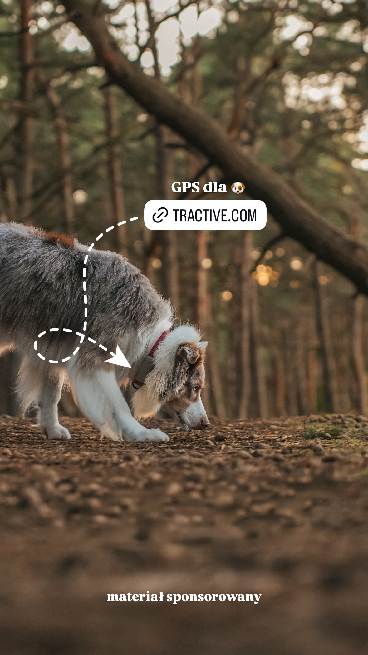 Tractive Facebook ad