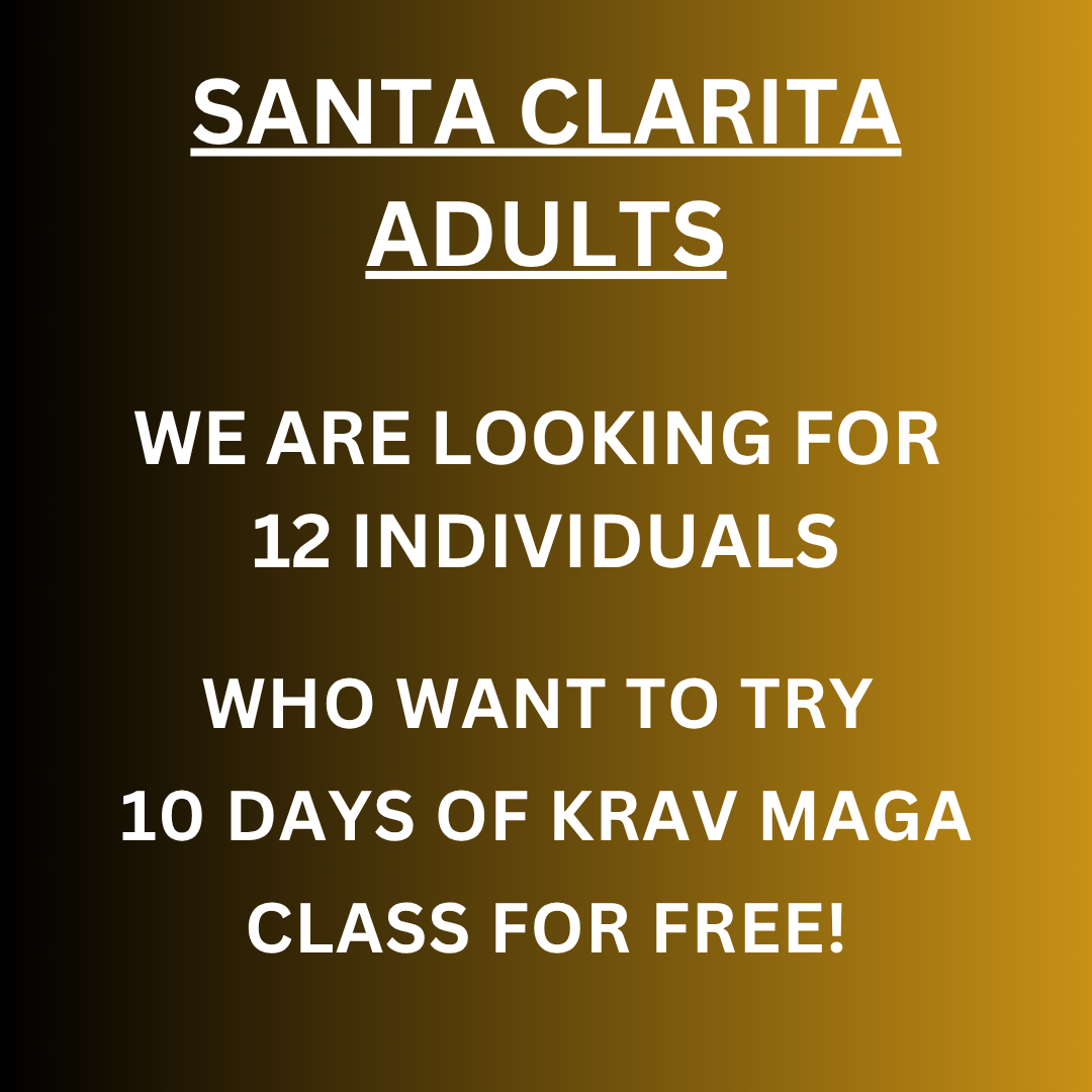 Citadel Combat Academy Facebook ad