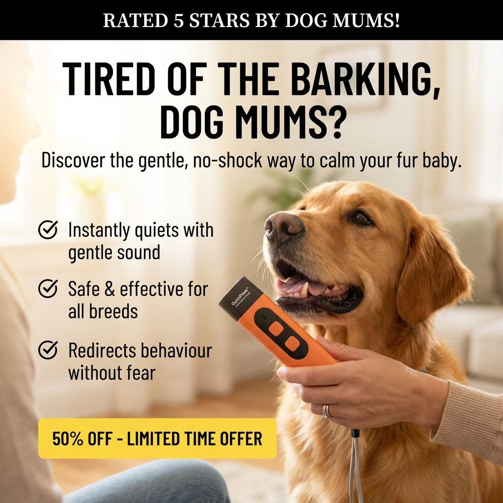 Hunters Doggy Daycare Facebook ad