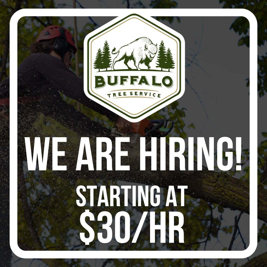 Tree Service Marketing Agency Facebook ad: Tree Pros Wanted