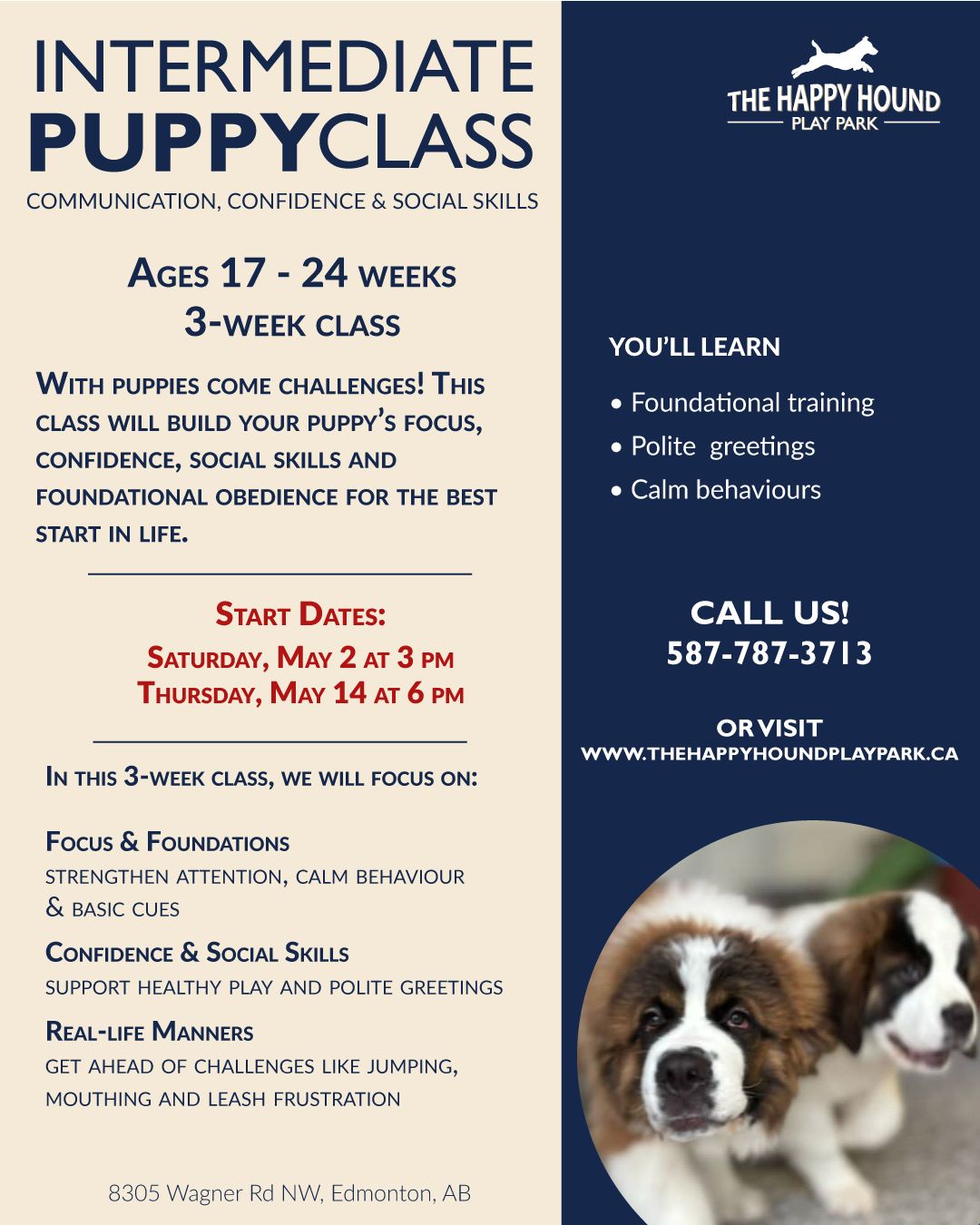 The Happy Hound Play Park Facebook ad