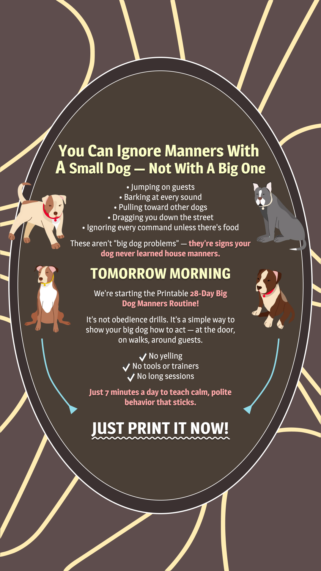 Cooper Vance Facebook ad: Start Dog Obedience Challenge