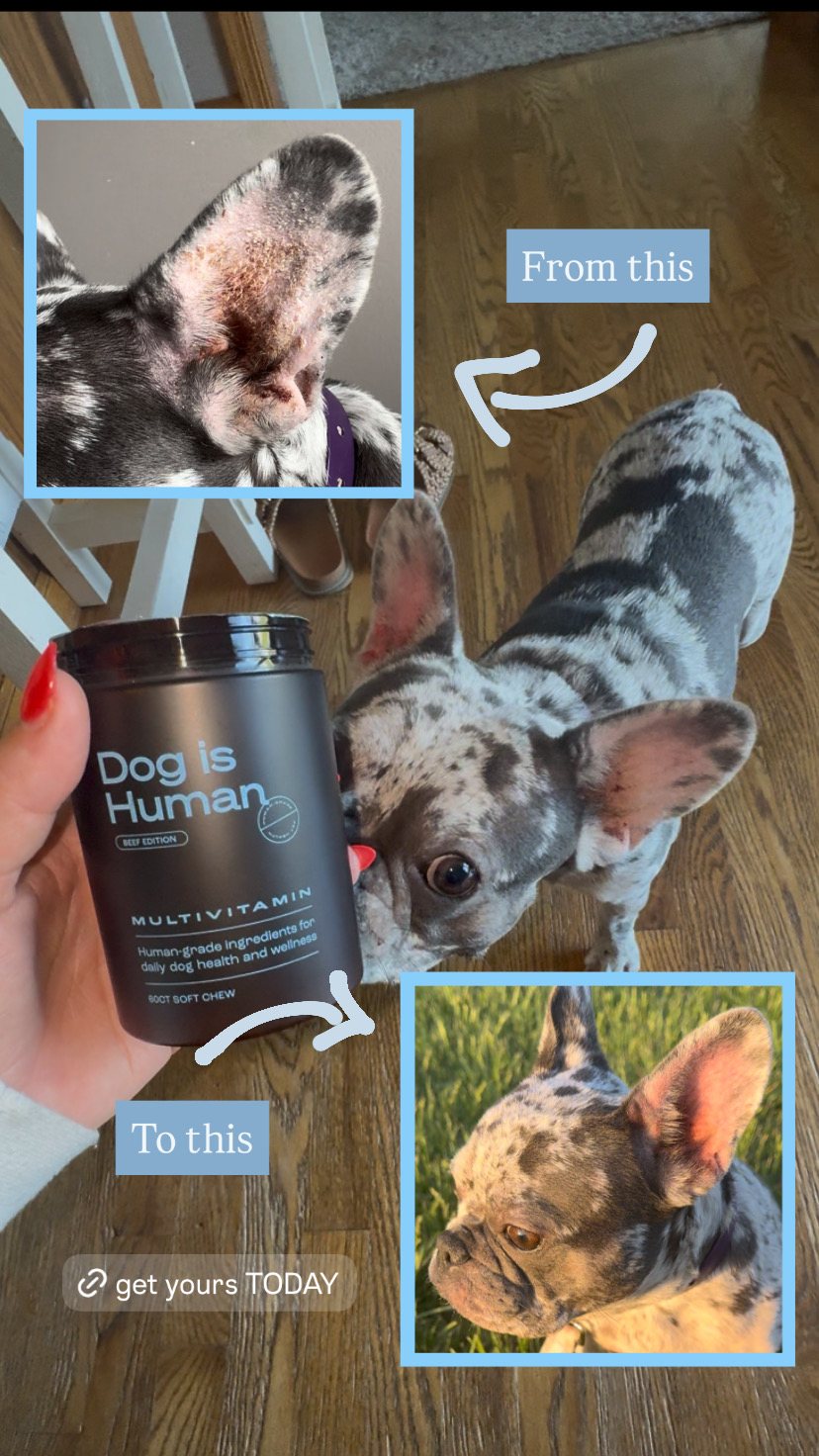 Dog is Human Facebook ad