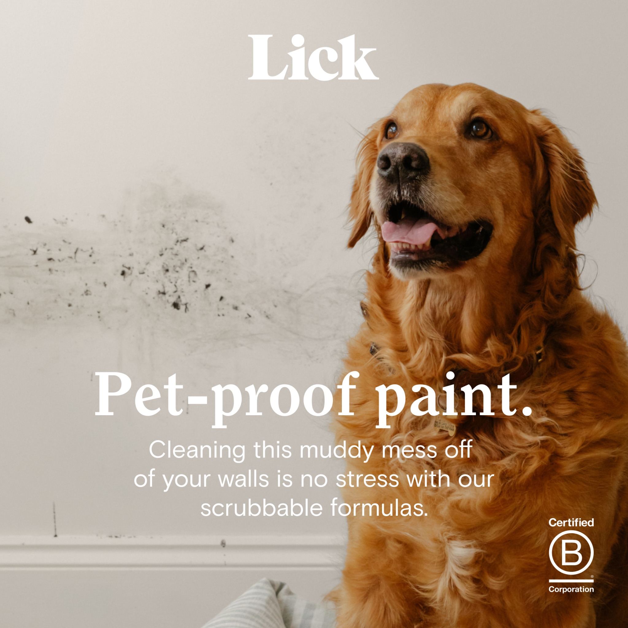 Lick Facebook ad from Jun 23, 2026