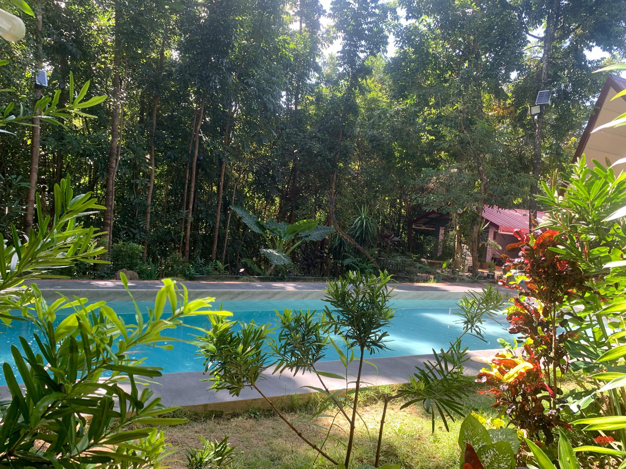 Del’s Cabin Facebook ad: DEL’S CABIN, YOUR PRIVATE 3-HECTARE RESORT ESCAPE!