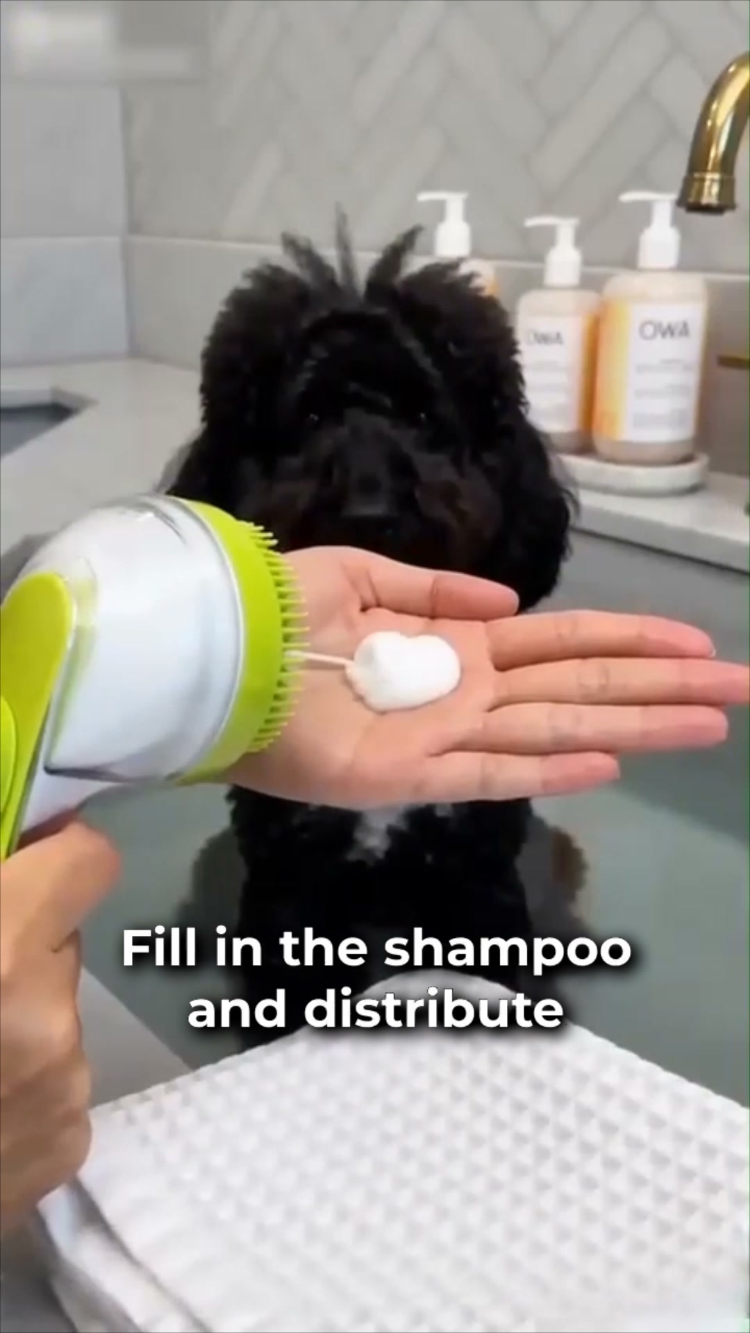 Aussie Pet Facebook ad: #1 Bath Brush