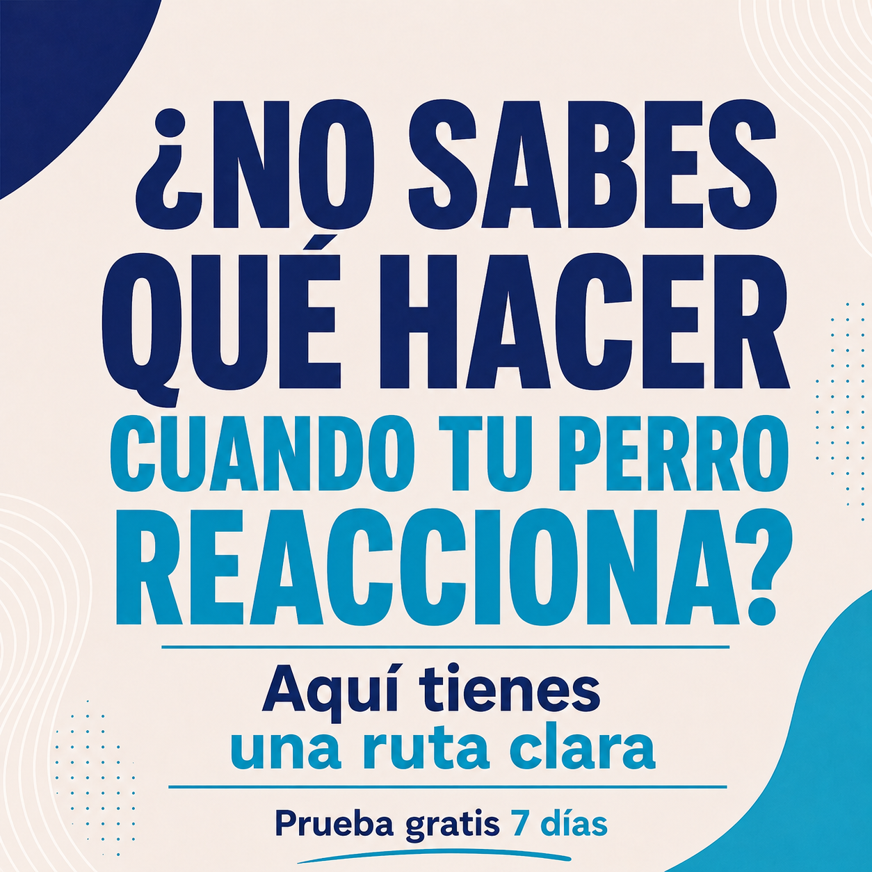El Profesor Canino Facebook ad
