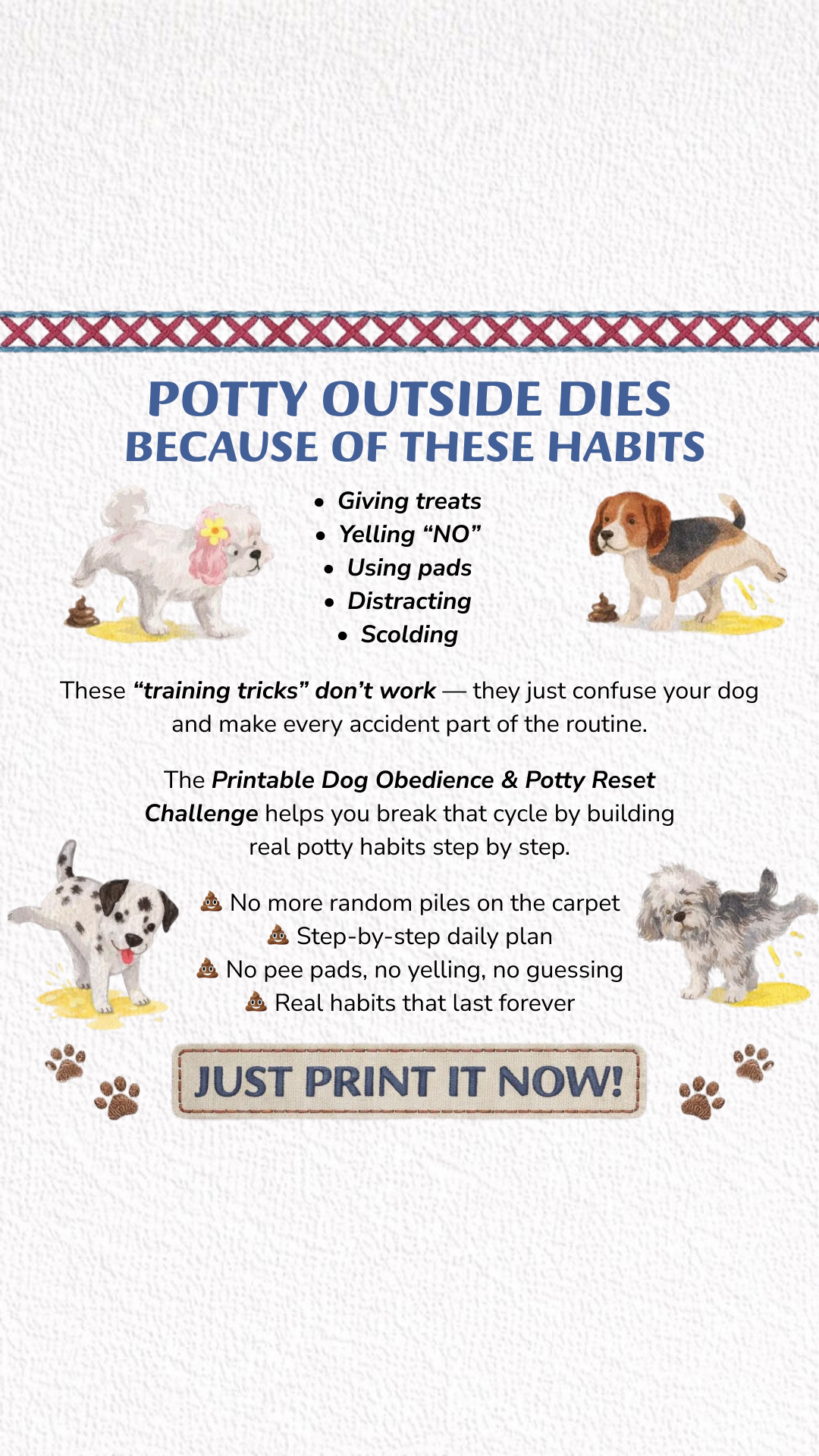 PawChamp Facebook ad