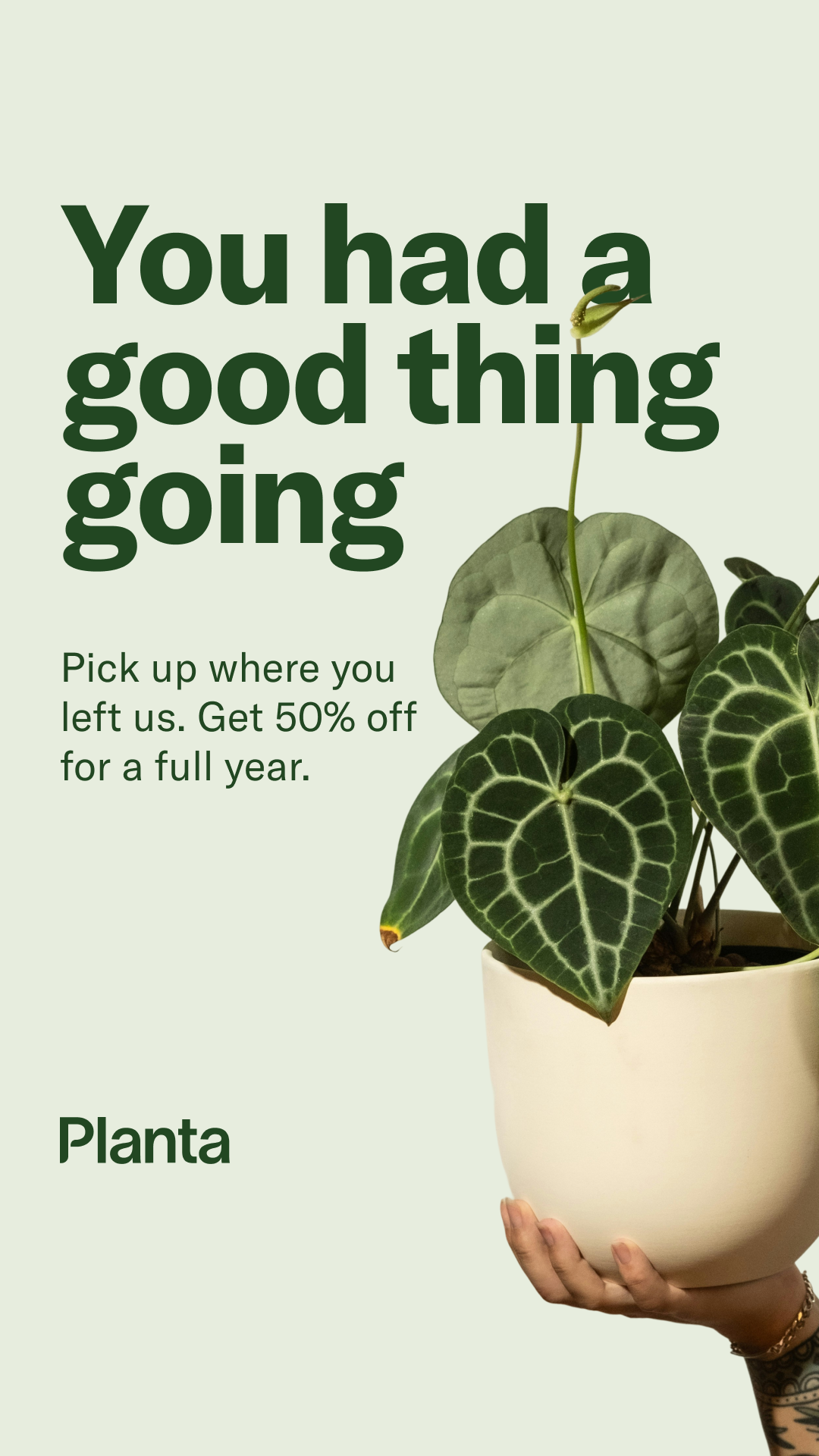Planta Facebook ad