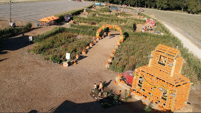 Sweet Eats Fruit Farm Facebook ad: Pumpkins are here & ready!