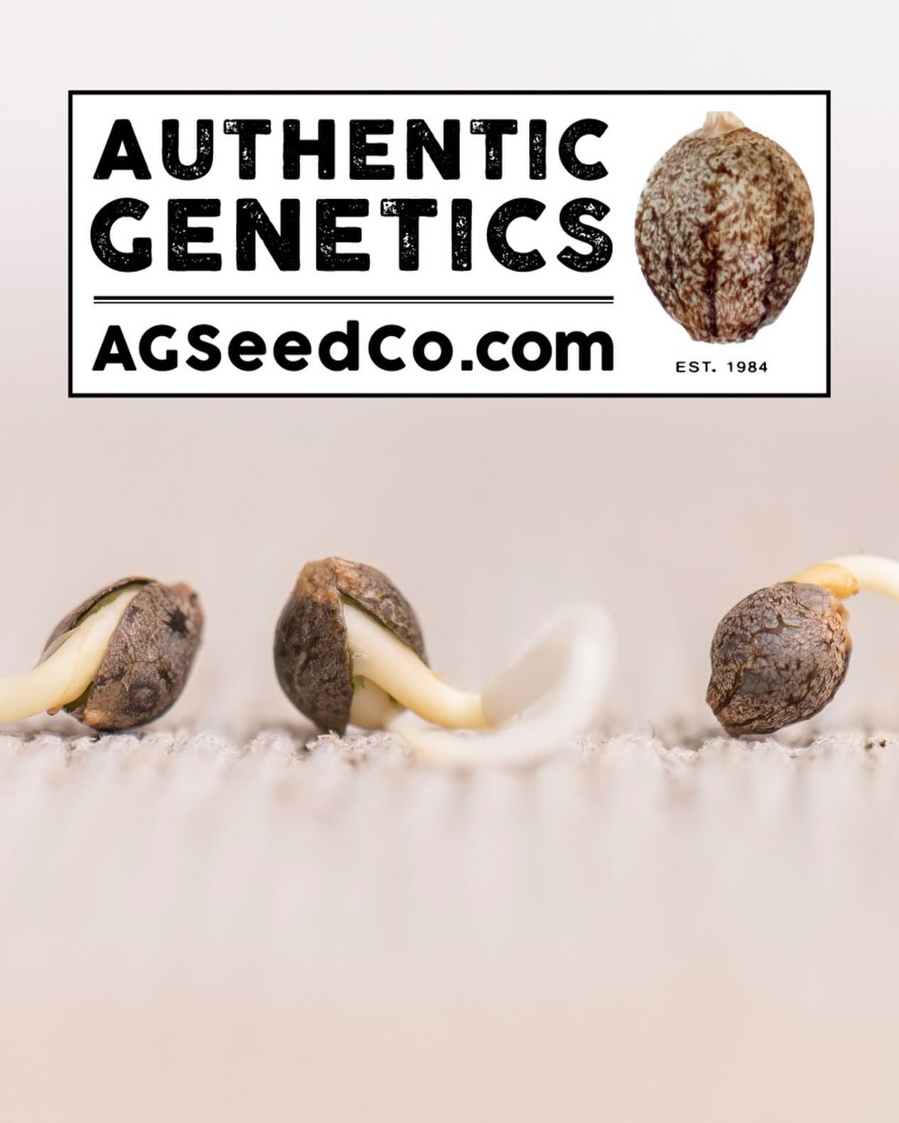 Todd McCormick Facebook ad: Legacy and Heirloom seeds that you thought were…