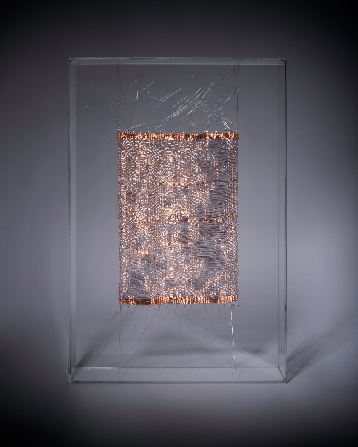 Sophie Mallebranche Facebook ad: LA DÉLICATESSE, Now on Artsy