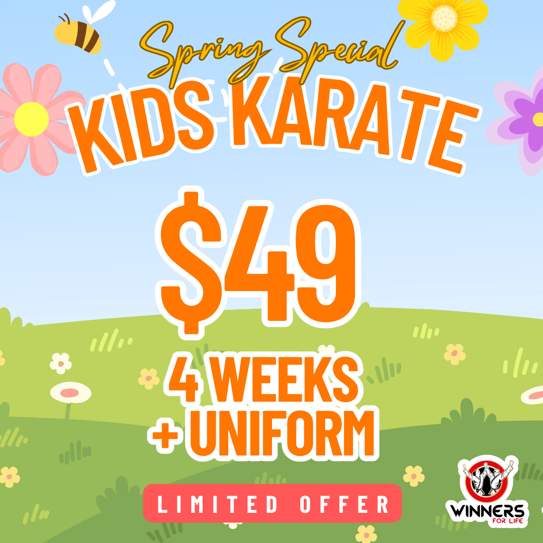 Winners for Life Martial Arts Harrisburg  Facebook ad