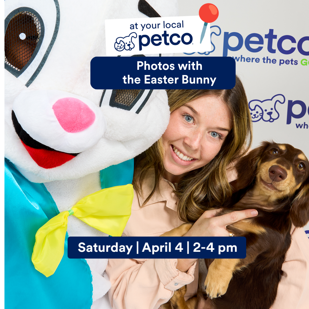 Petco Facebook ad
