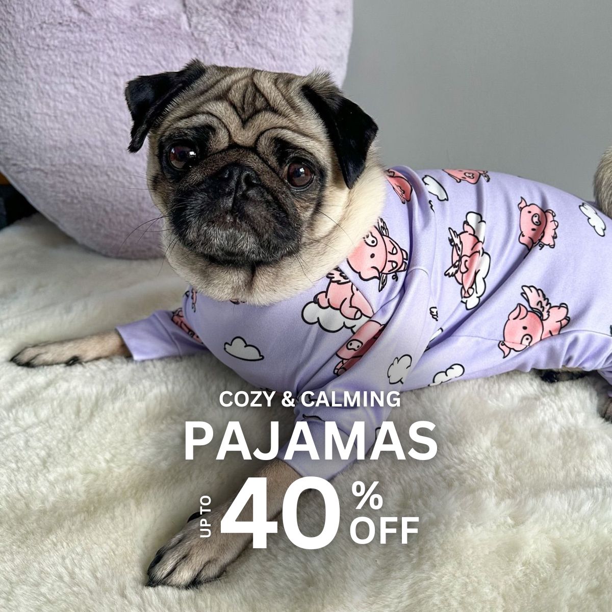 Spark Paws Facebook ad