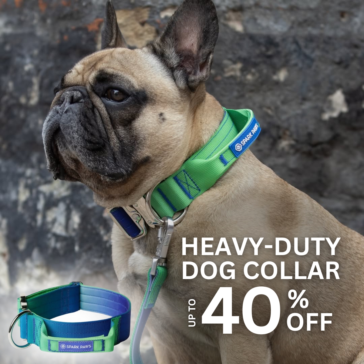 Spark Paws Facebook ad