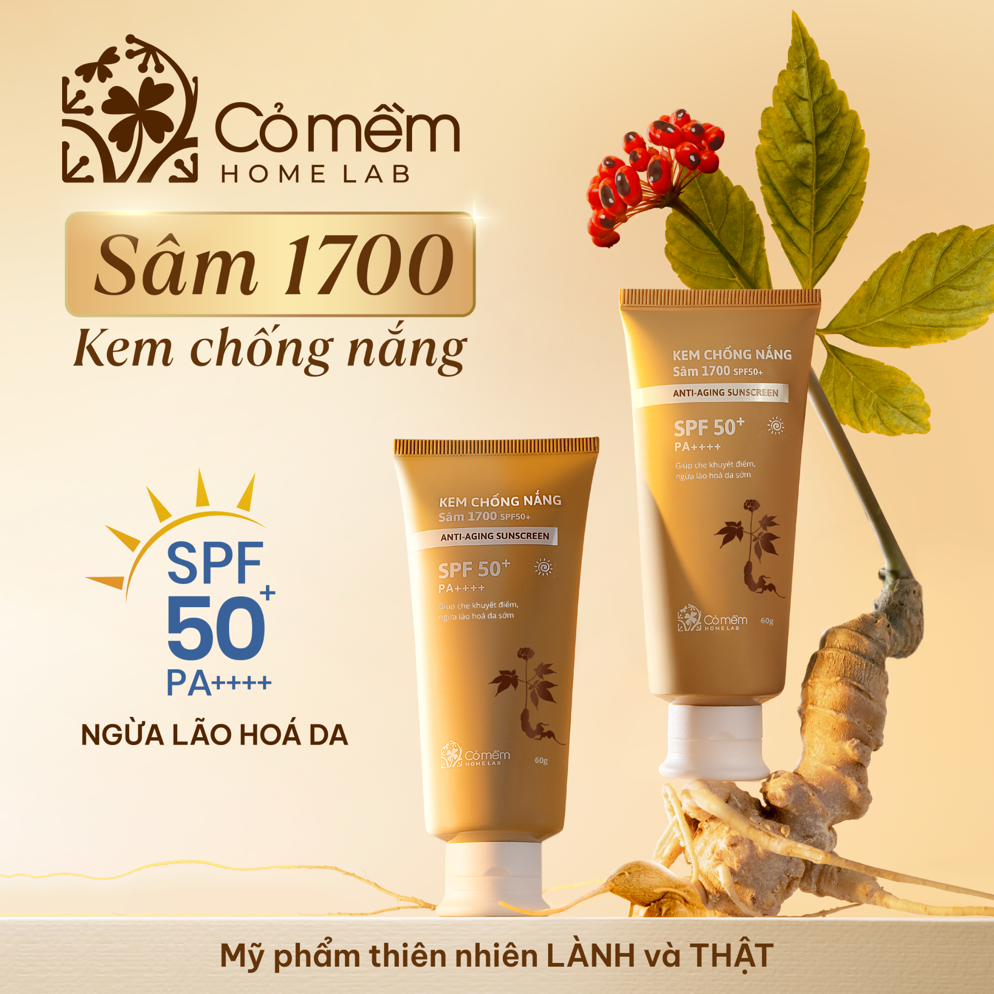 Cỏ mềm HomeLab Facebook ad