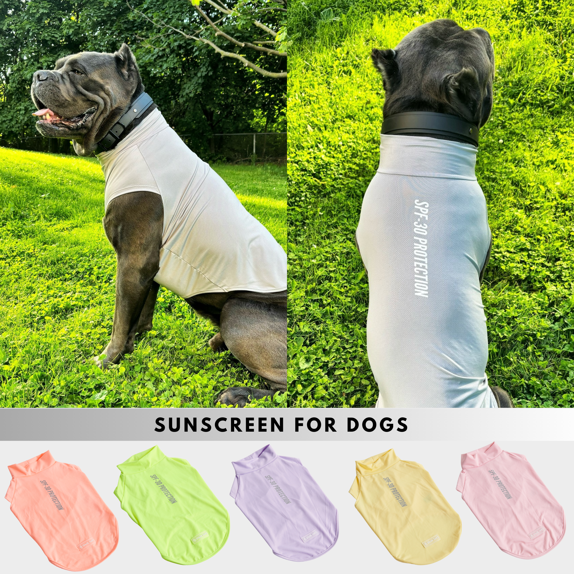 Spark Paws Facebook ad