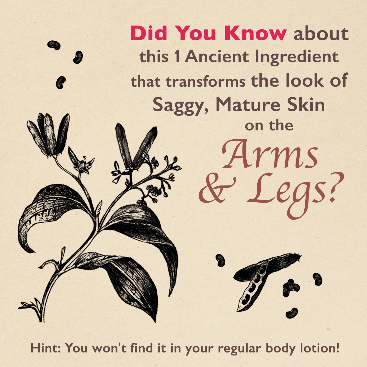 The Ayurveda Experience Facebook ad