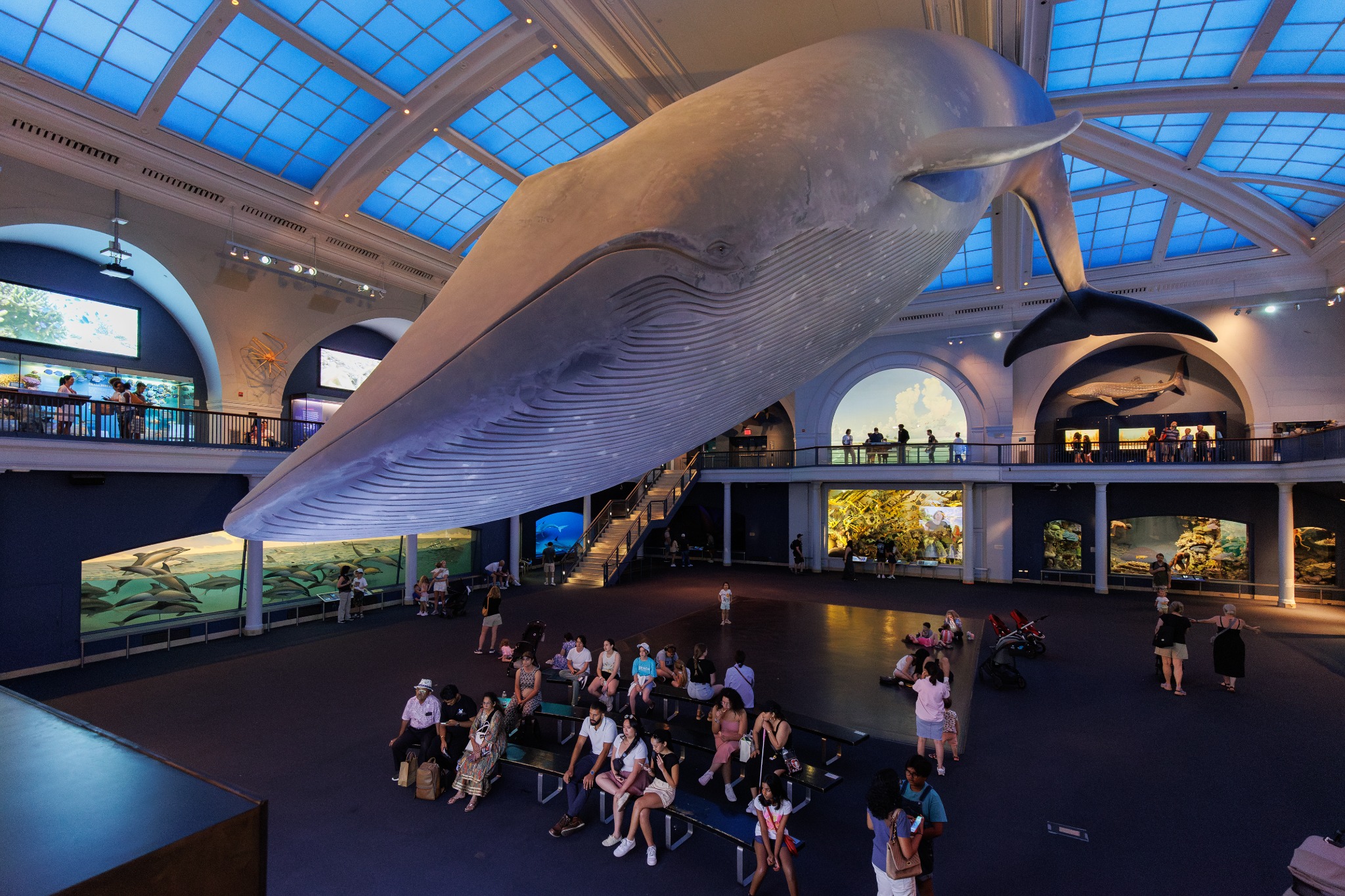 American Museum of Natural History Facebook ad: Teachers! Earn graduate credit and advance your career…