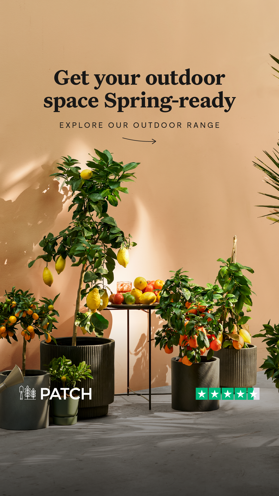 Patch plants Facebook ad