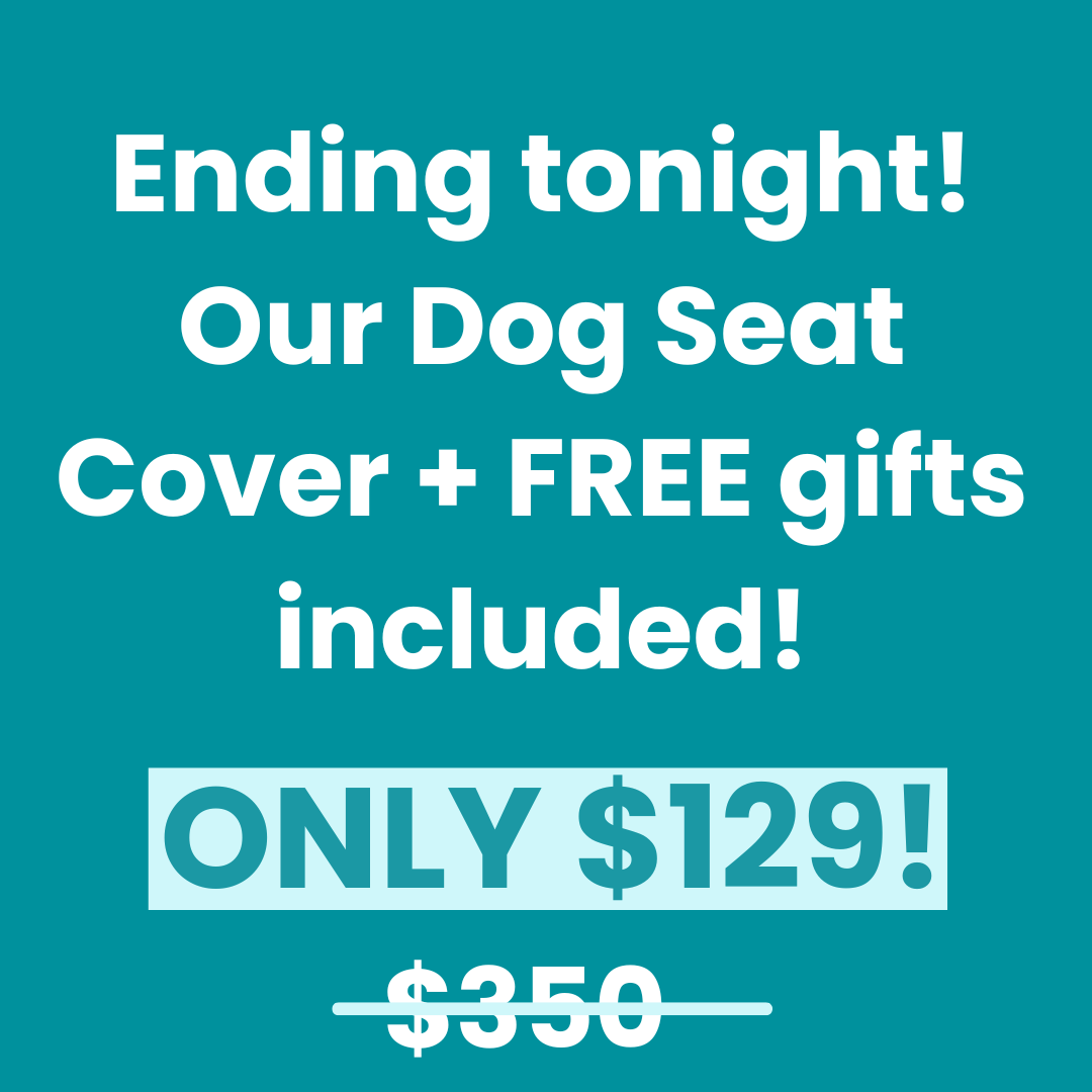 MrBarks.Shop Facebook ad