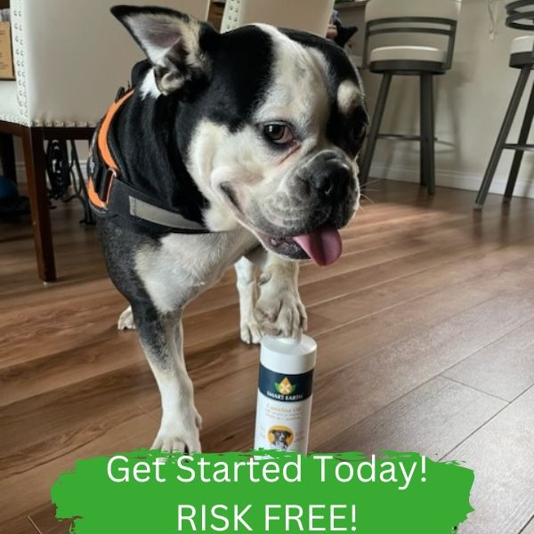 Smart Earth Camelina - USA Facebook ad