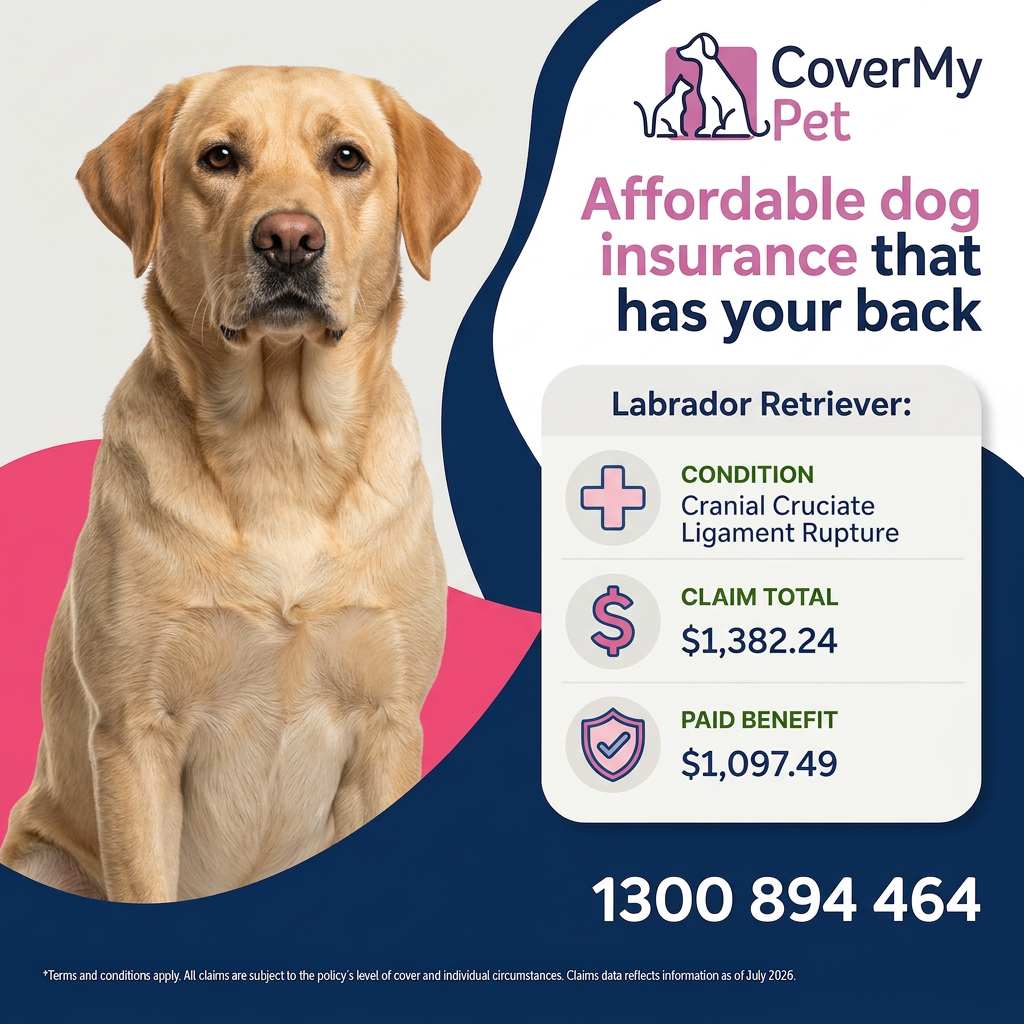 CoverMy Pet Australia Facebook ad: Save more over your pup's lifetime & choose CoverMy Pet…