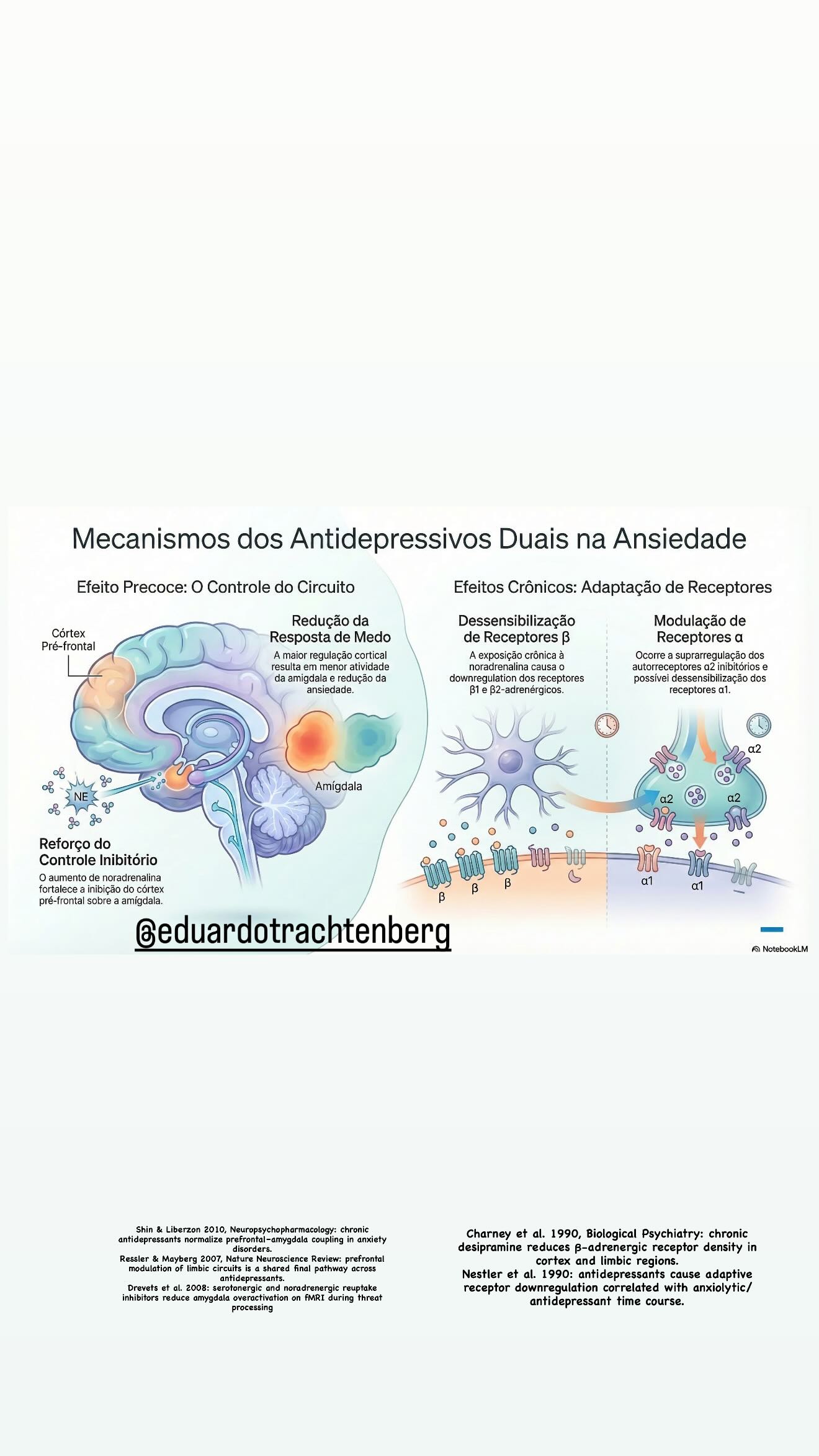 eduardotrachtenberg Facebook ad: @eduardotrachtenberg Shin & Liberzon 2010…