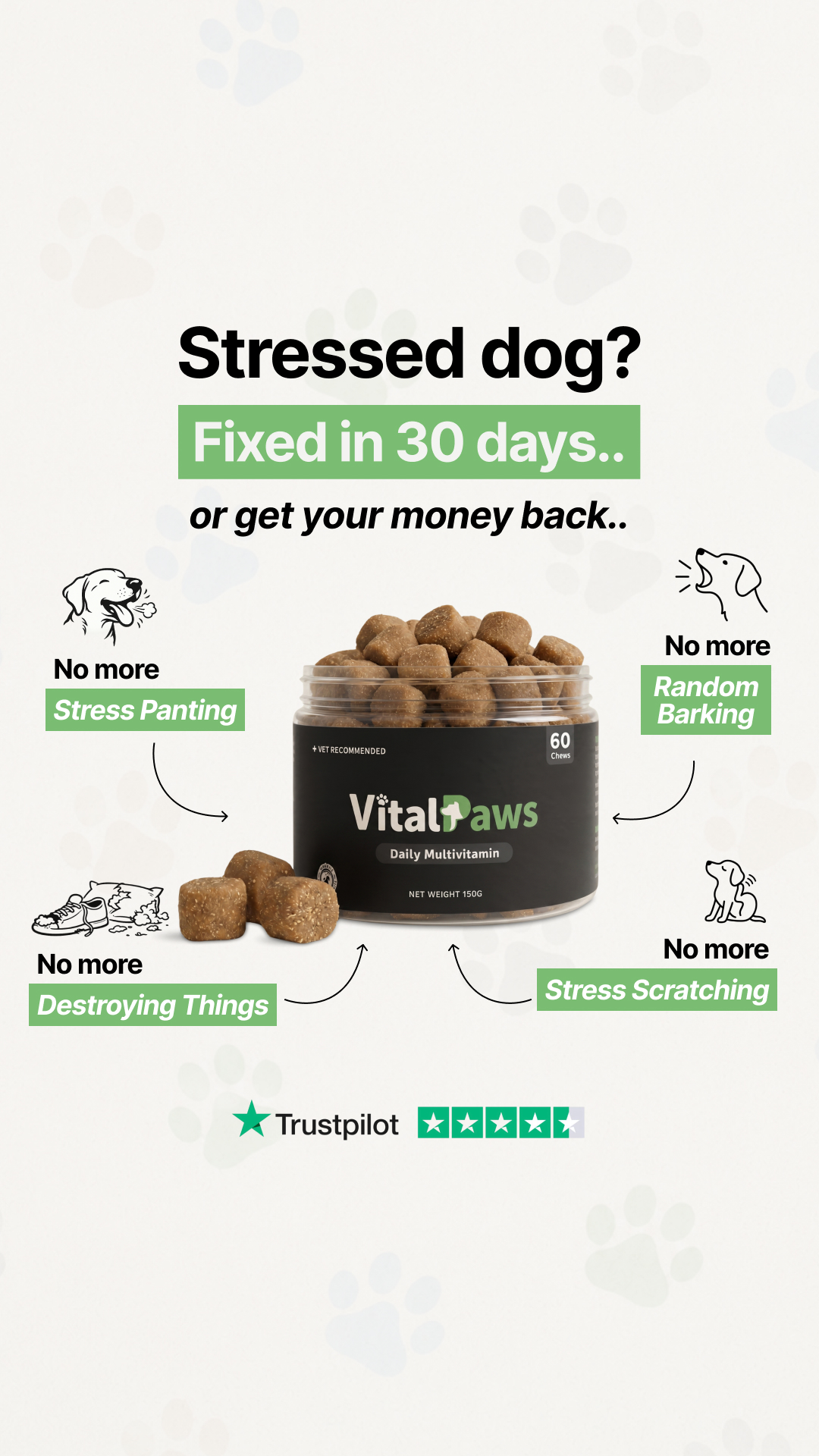 VitalPaws Facebook ad