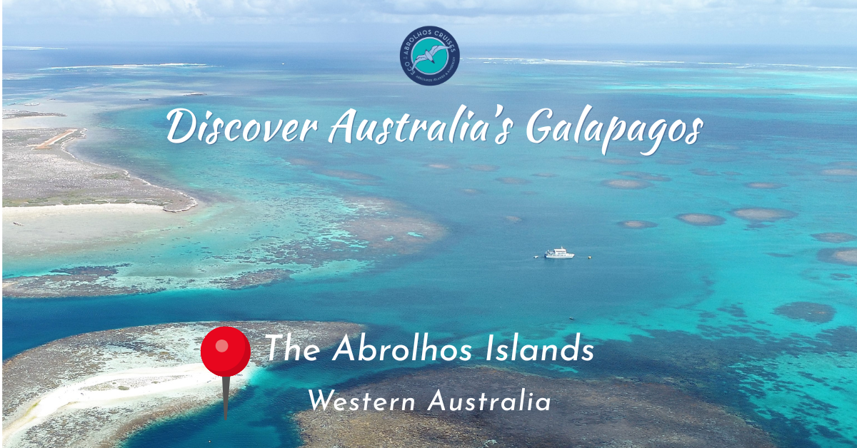 Eco Abrolhos Facebook ad from Jan 4, 2026