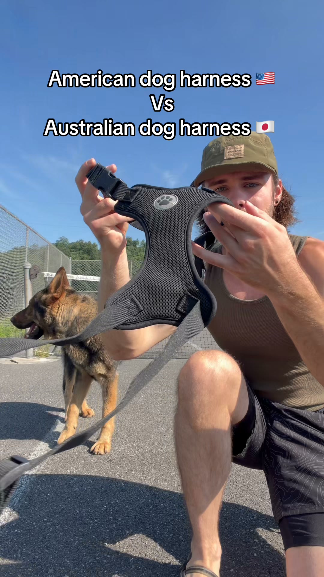 Dog Friendly Co. Facebook ad: Rated #1 By Dog Owners