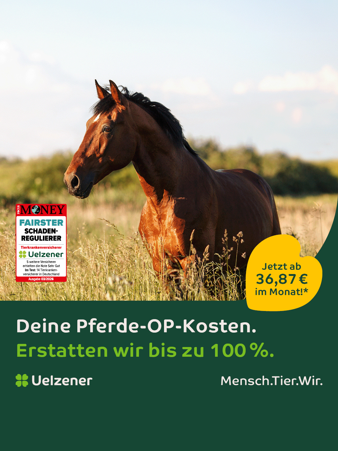 Uelzener Versicherungen Facebook ad: Schutz für dein Pferd