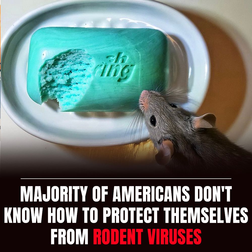 Mice Secrets Facebook ad
