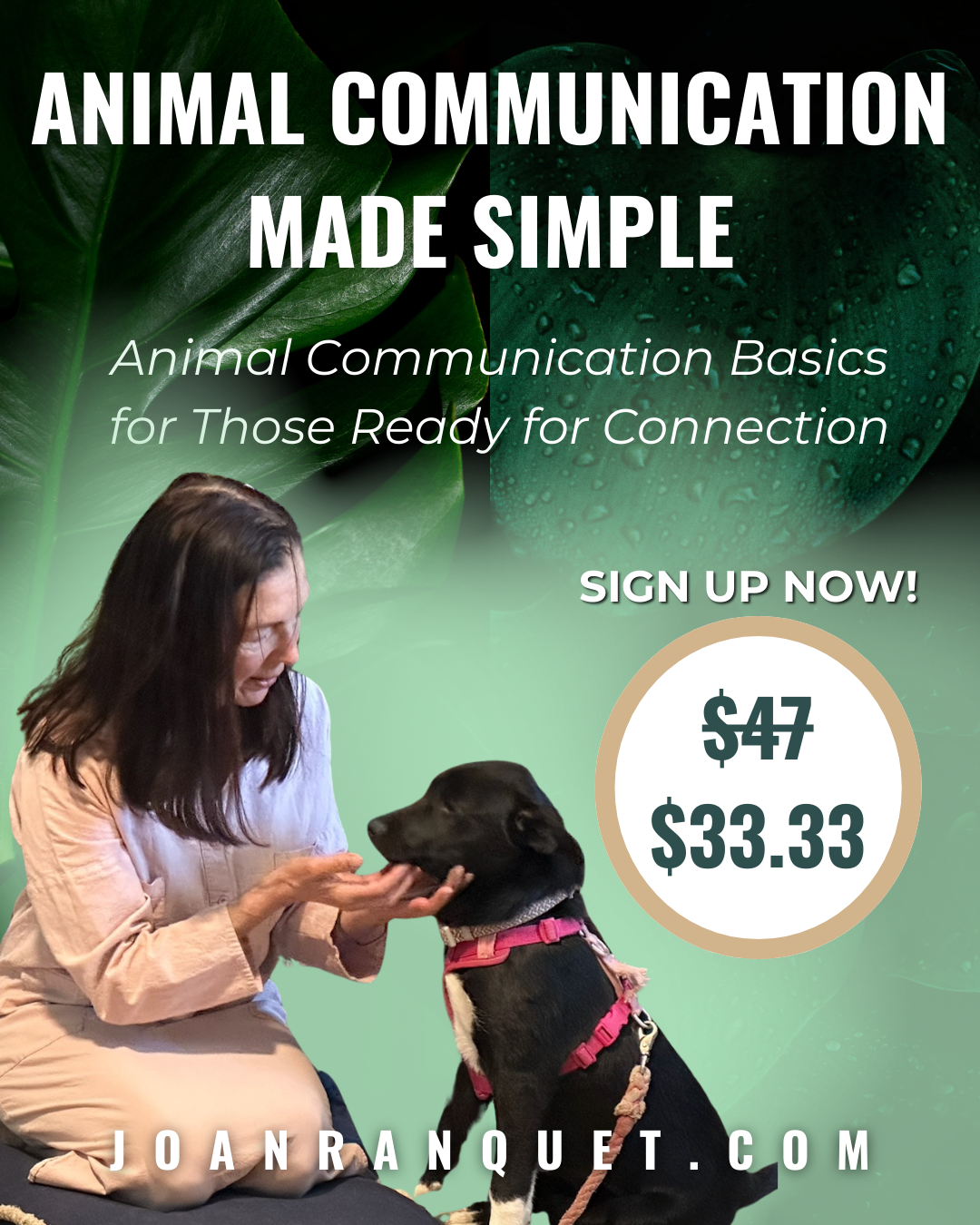Joan Ranquet's Communication With All Life University Facebook ad
