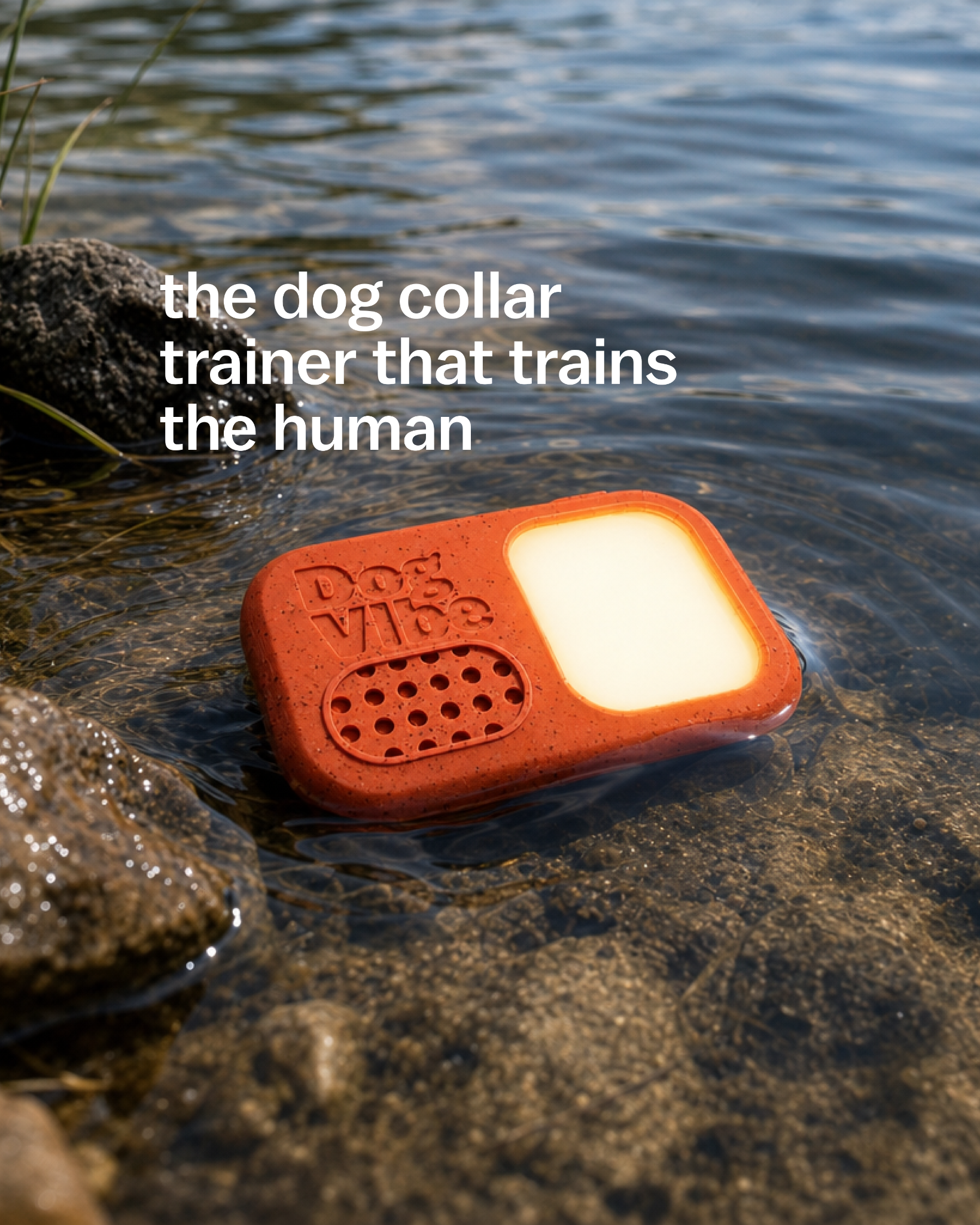 DogVibe Facebook ad