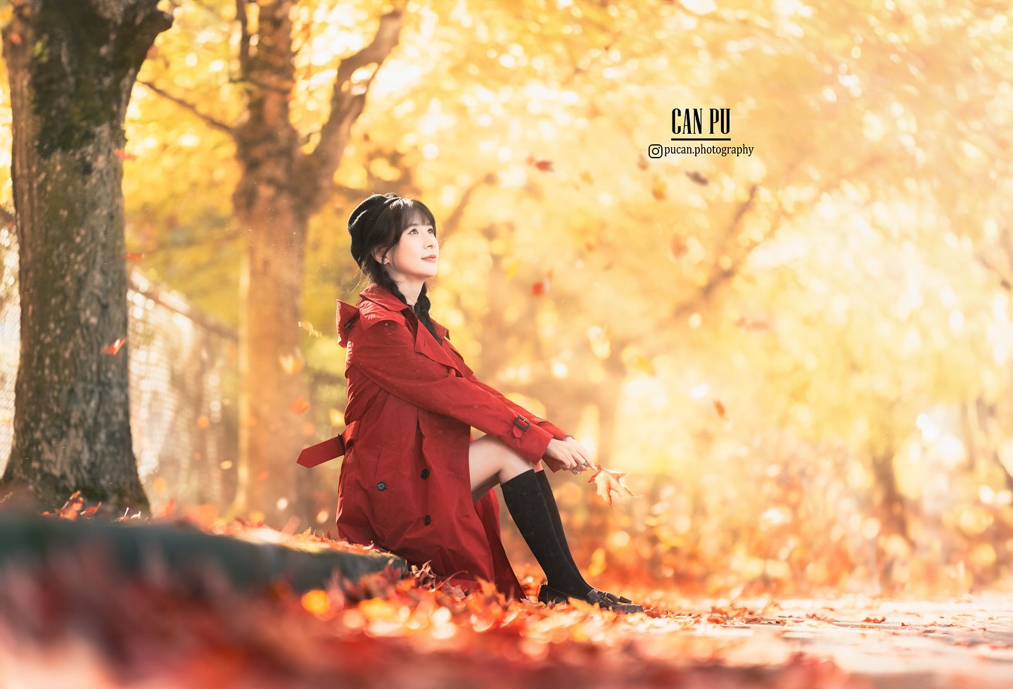 pucan.photography Facebook ad: A Fairy Tale of Autumn