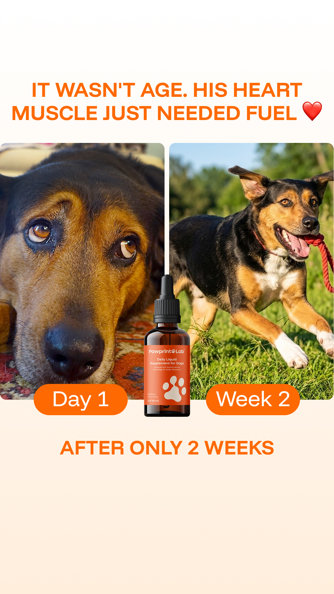 Vet-Approved Pet Products Facebook ad