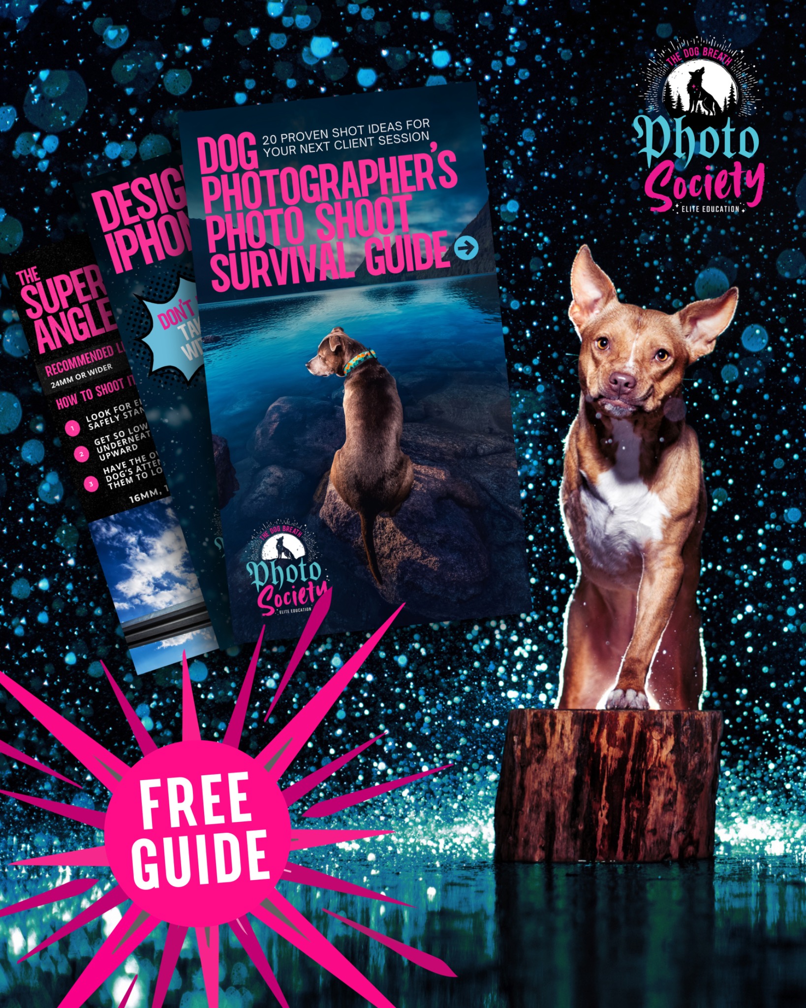 Dog Breath Photography Facebook ad