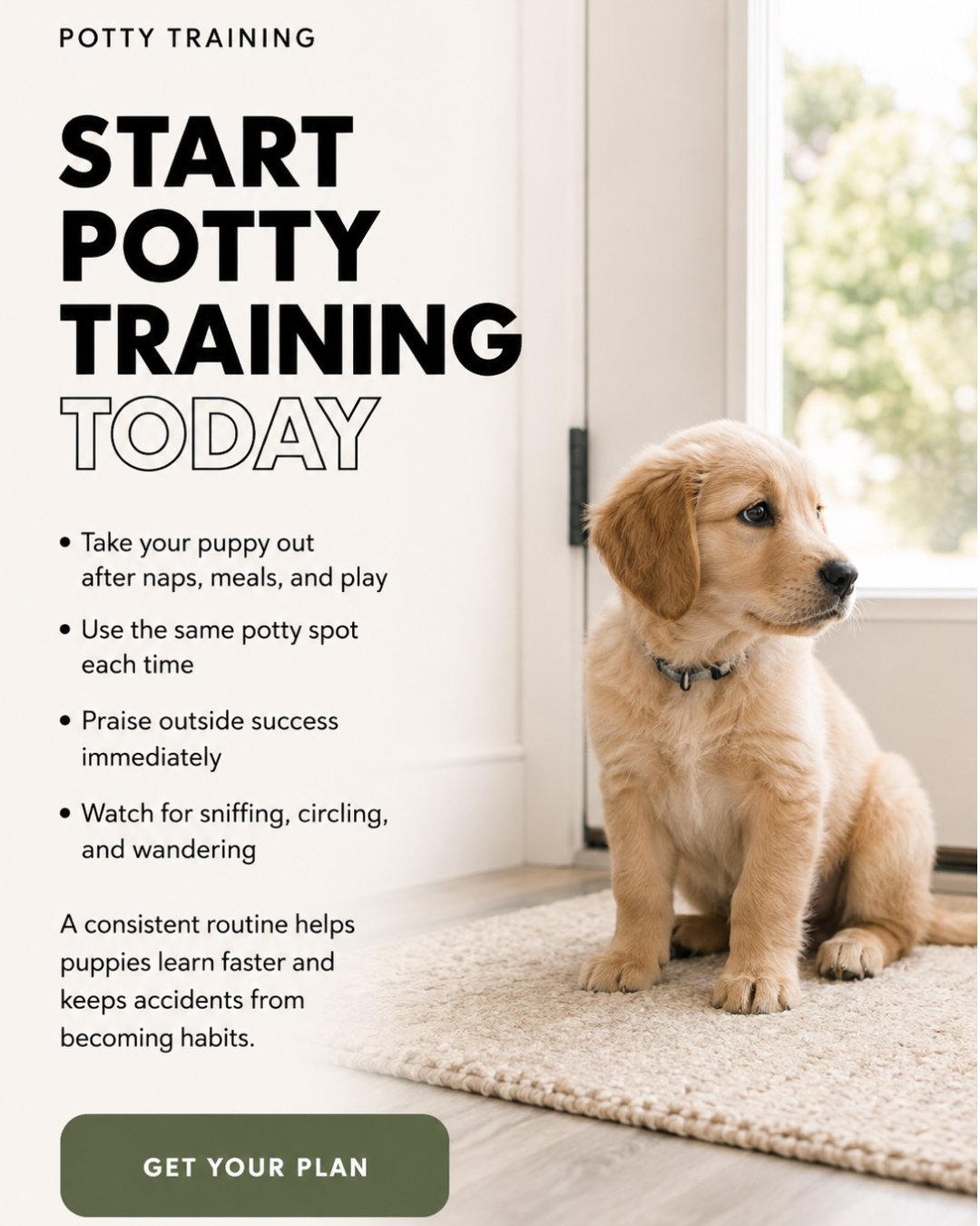 Ben Your Puppy Trainer Facebook ad
