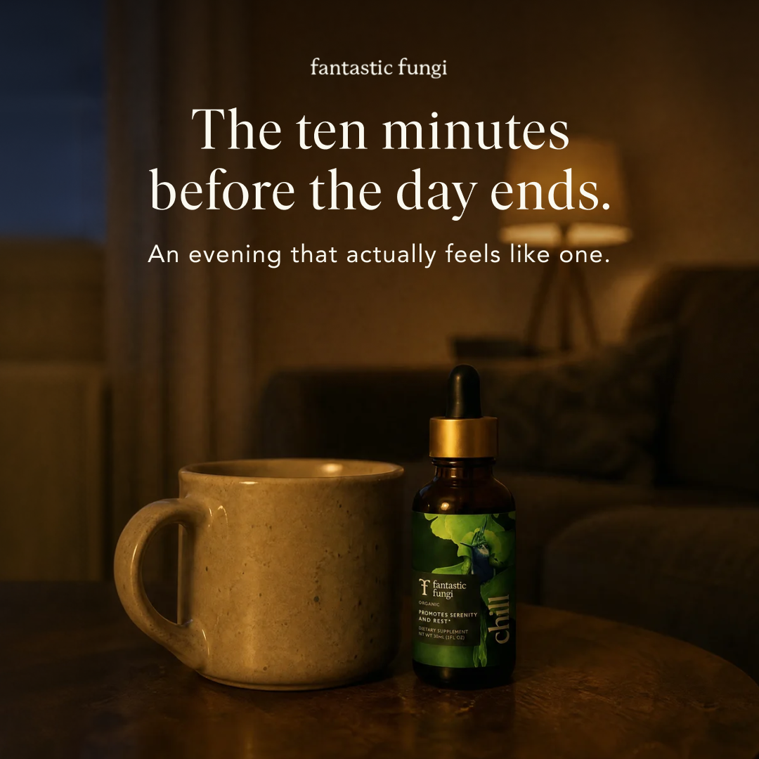 Fantastic Fungi Facebook ad